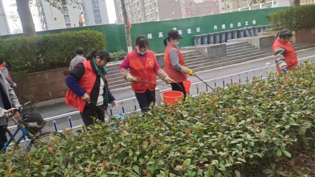 洁美闸弄口 | 春日“焕新”不停步 环境整治不停歇（一）